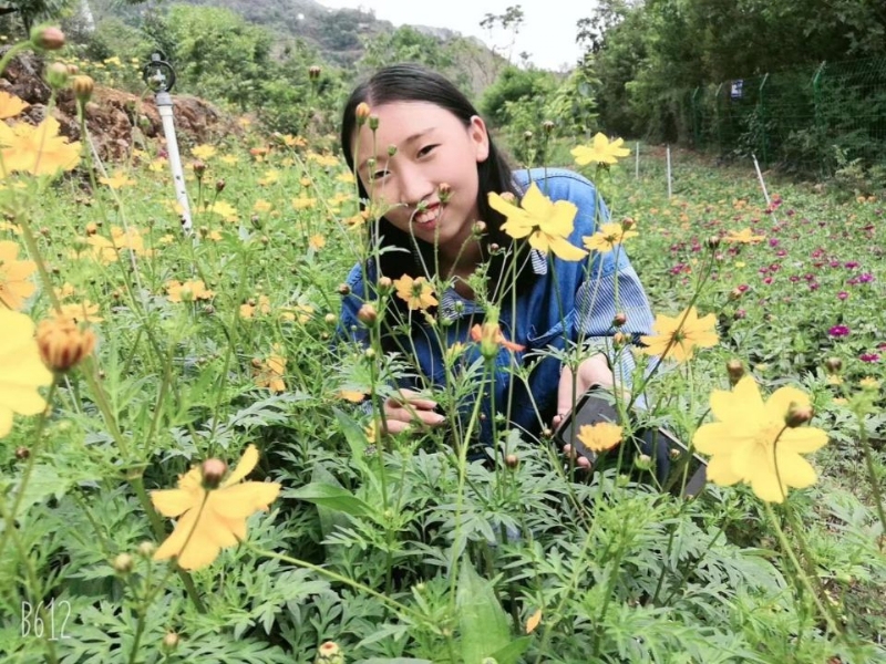 哈哈的第一张照片--昭通中老年相亲网